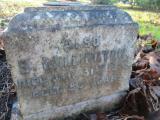 image of grave number 360679